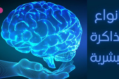 انواع الذاكرة البشرية